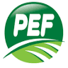 PEF s.r.l.