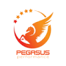 Pegasus-performance