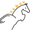Pegasus Computer Services