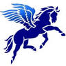 Pegasus Gymnastics Club