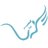 Pegasus Uitvaartzorg