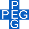 Power Engineering Group Inc
