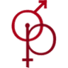 PEKATTO SEX SHOP E LINGERIE