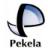Gemeente Pekela