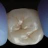 Pellegrini Dental