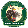 Peneș Curcanul