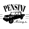 Pensini Alloys