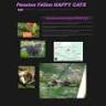 Pension chat HAPPY CATS