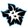 PENSIUNEA GENTIANA BRAN