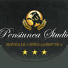 Pensiunea Studio