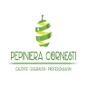 Pepiniera Cornesti