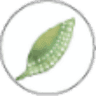 Peppermint Ridge Farm Native Foods