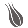 Pera Tulip Hotel