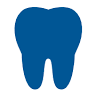 Dr. Elizabeth A. Vanleeuwen, DDS