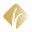 Perry Endodontics, P.C.