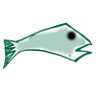 Articles de Pesca Abril-Pirineu