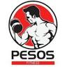 Pesos Fitness