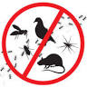 Pest Control Solutions NOW.com