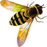 Pestgon Inc