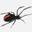 Hervey Bay & Maryborough Pest Control