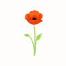 Petal Designs