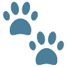 Pet Central 100 Street