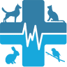 Pet Clinic
