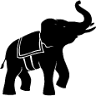Peter Polo