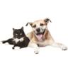 The Pet Food Shop