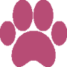 Kennebec Valley Humane Society