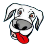 Pet Kraze