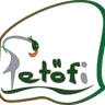 Liceul Teoretic Petofi Şandor