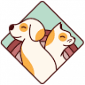 Pets&Beds
