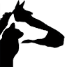 G & M Pet Supplies Ltd