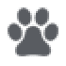 PET SHOP K&S