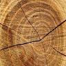 Holz Pfahler Adelschlag