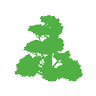 PFLANZEN MAIR KUFSTEIN Gartengestaltung - Gartencenter - Landschaftsplanung Kufstein