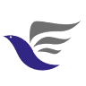 Phenix Insurance Broker Srl