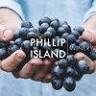 Phillip Island Winery