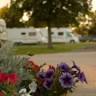 Phippins Farm Caravan Park