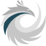 Phoenix Gas Services Limited