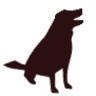 Phoenix Animal Hospital