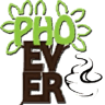 PHOever Maine