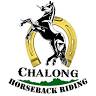 Phuket Horse Riding