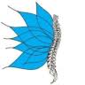Physio 56