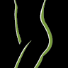 Shelbourne Physiotherapy Cook Street Clinic