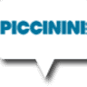 Piccinini S.p.A.