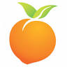 Peach Tree Vision