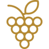 Cooperativa Vitivinicola Da Ilha Do Pico (CVIP) - Picowines, C.R.L.