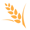 Bakery Ciastkarnia KŁOS 24